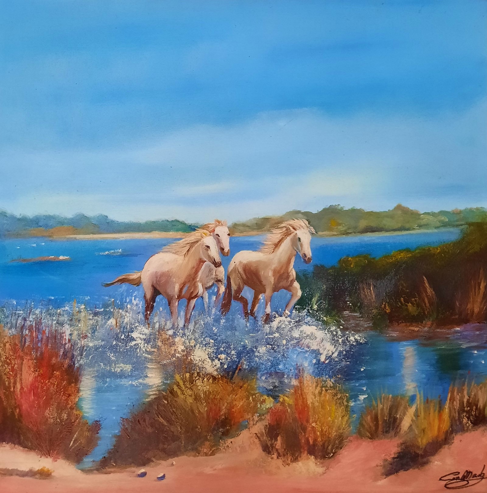 Chevaux à aiguamolls